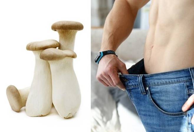 남성의 음경은 왜 버섯처럼 능선이 있을까. 음경은 자손 번식의 도구로서 여성의 질에서 경쟁자의 정액을 걸러내기 위해 '능선'이 존재한다는 이론이 있다. [사진=게티이미지뱅크]