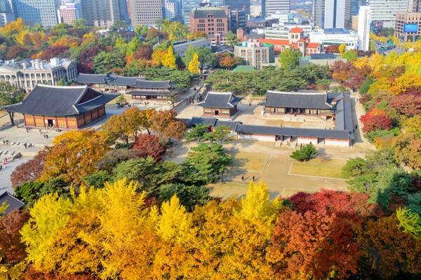 출처: 게티이미지뱅크 (수도권 단풍 여행)