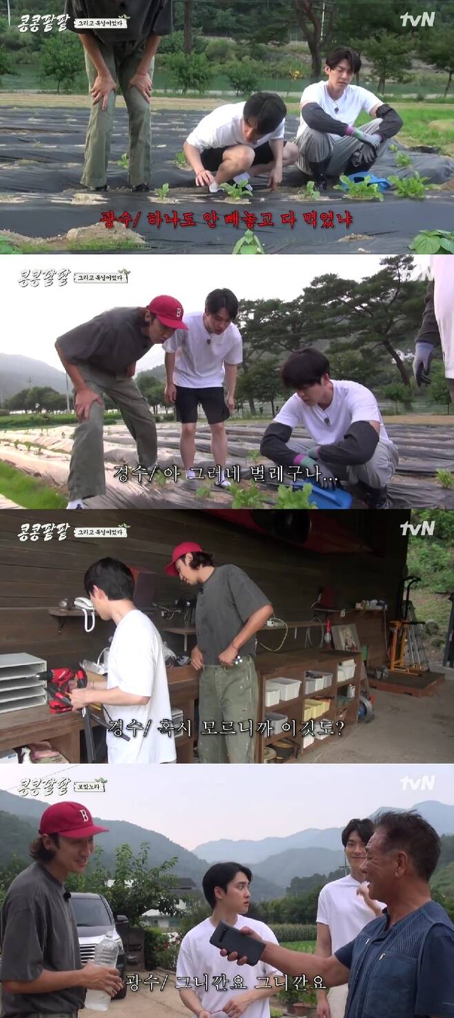 tvN ‘콩 심은데 콩 나고 팥 심은데 팥 난다’ 화면 캡처