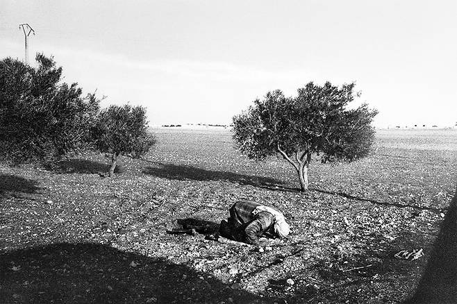 석양의 기도, Tell Mardikh, Syria, 2008 ⓒ박노해