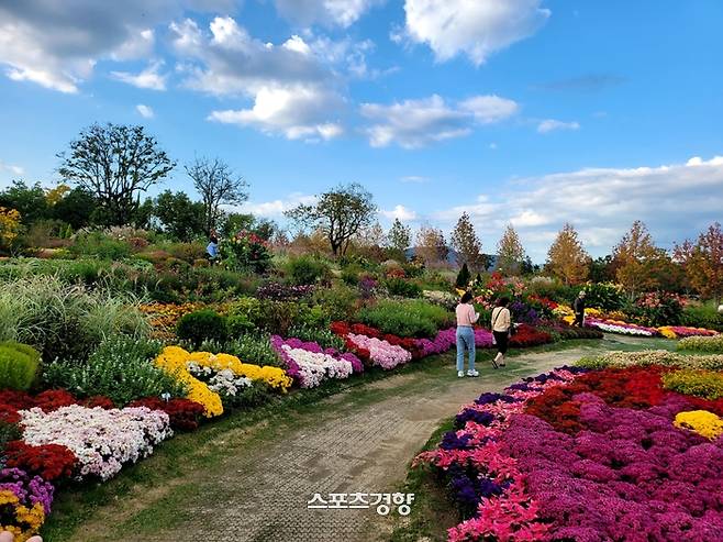 사진|강석봉 기자