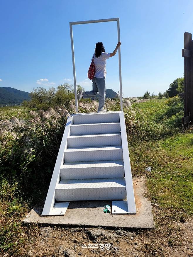 사진|강석봉 기자