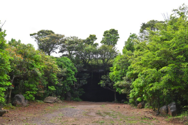 출처: 온라인커뮤니티 (동굴 사진 명소)