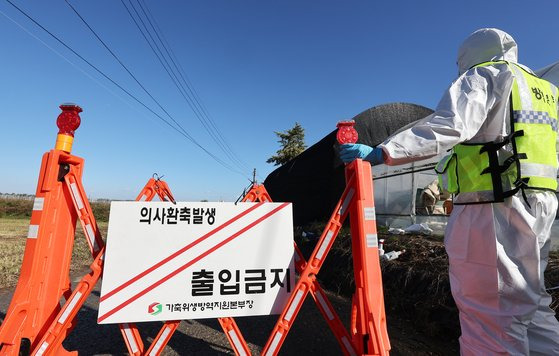 지난 21일 소 바이러스성 질병 럼피스킨병(Lumpy Skin Disease)이 발생한 경기 평택의 한 젖소 농가에서 관계자들이 출입을 통제하고 있다. 연합뉴스