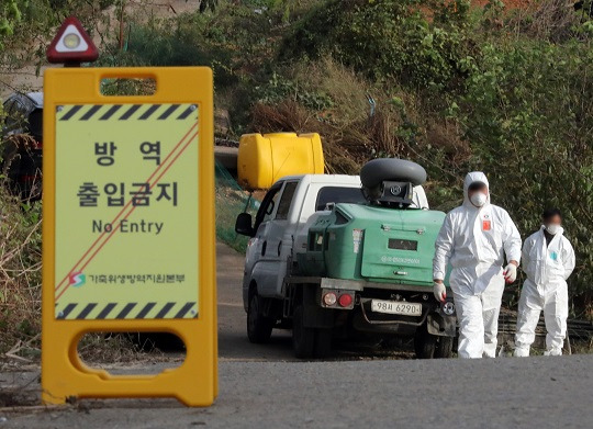 지난 22일 럼피스킨병이 발병한 평택 농가에서 관계자가 출입을 통제하고 있다 (사진 출처: 뉴시스)