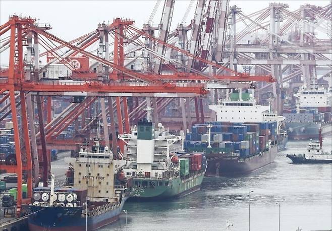 부산항 신선대부두에서 컨테이너 하역 작업이 한창이다. 최근 운임정보 실시간 확인 플랫폼 등 혁신 모델이 출시되면서 부산항을 이용하는 기업들은 운임료가 크게 줄어들 것으로 기대하고 있다. /사진=연합뉴스