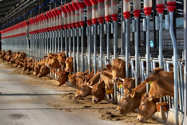 /사진=이미지투데이