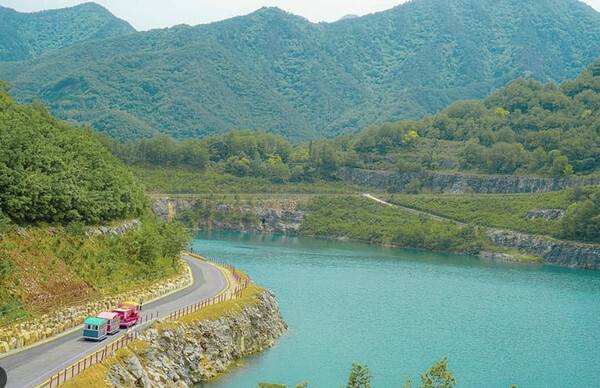 온라인 커뮤니티