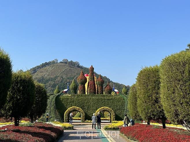 엑스포공원 중앙광장