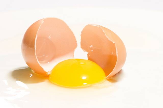 달걀은 마른행주로 오염 부위만 간단히 닦아낸 후 그대로 보관하는 게 좋다./사진=클립아트코리아
