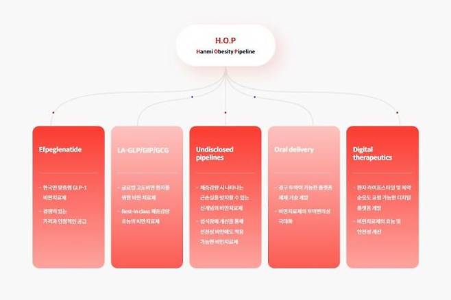 한미약품의 H.O.P 프로젝트. 에페글레나타이드 외에도 지방 감소 효과를 크게 높인 HM15275, 근육량 손실을 방지하는 바이오신약와 함께 섭식장애 개선제, 경구용 비만치료제, 비만 예방·관리 디지털치료제 등이 포함돼 있다. 한미약품 제공