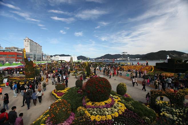 지난해 열린 마산국화축제. 창원시