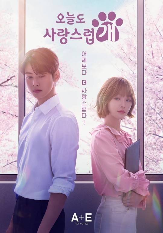 ‘오늘도 사랑스럽개’. 사진 ㅣMBC