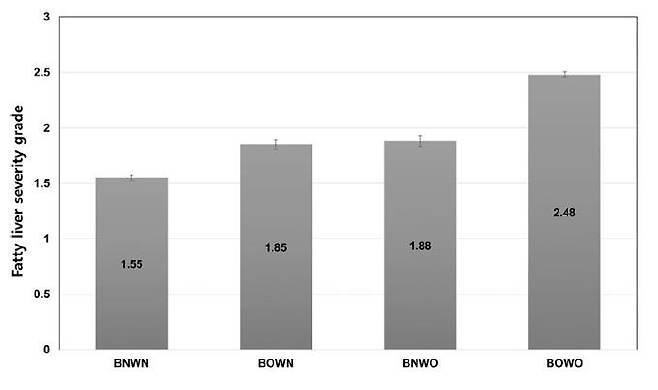 연구 참여자들 비알코올성 지방간 중증도는 비만과 복부비만 모두 해당하는 그룹(BOWO)에서 가장 높았다. [논문 발췌]