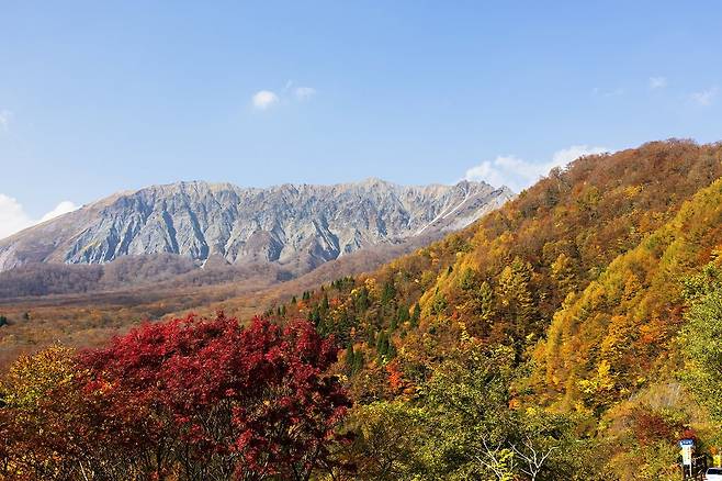 요나고시 인근의 다이센 산 가을 풍경 모습. 일본 돗토리현 여행 사이트