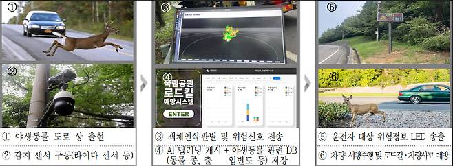 야생동물 로드킬 예방·관측 시스템 흐름도. 국립공원공단 제공