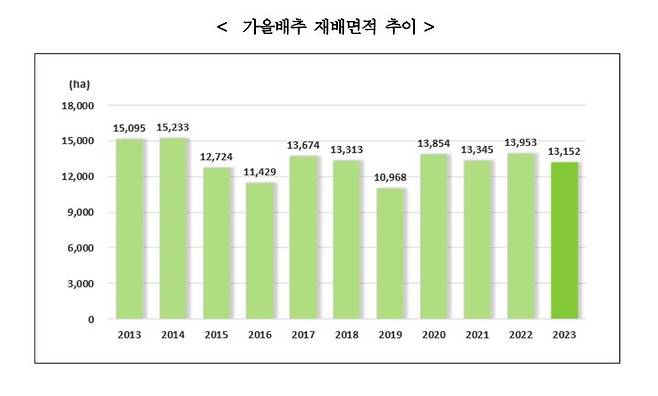 [세종=뉴시스] 가을배추 재배면적 추이. *재판매 및 DB 금지