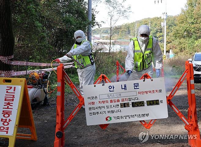 소 럼피스킨병 확진 김포 축산농가 주변 방역작업 [연합뉴스 자료사진]