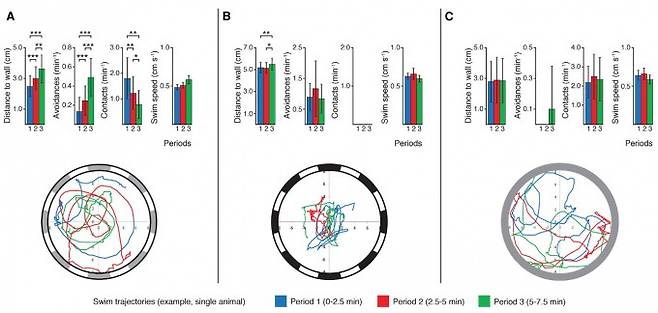 상자해파리가 시각적 자극과 물리적 자극을 연합하여 학습한 결과.