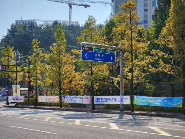 ▲ 26일 강릉 교동 광장로 사거리에는 각종 축제 알림 등의 내용을 담은 불법 현수막이 줄지어 걸려있다.