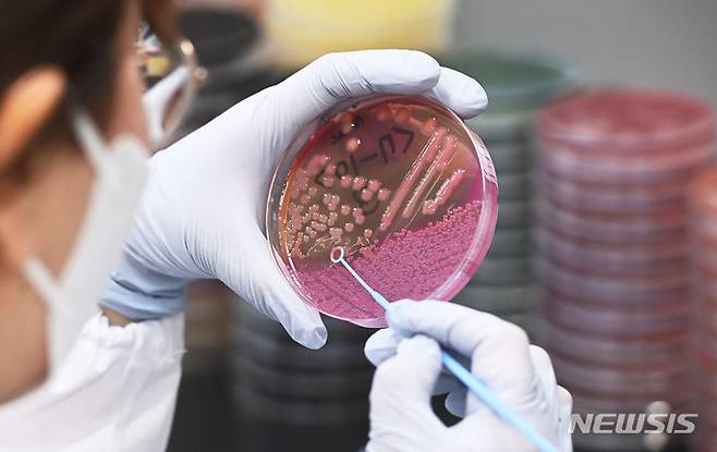 [수원=뉴시스] 김종택 기자 = 지난 7월 24일 경기도 수원시 권선구 경기도보건환경연구원에서 연구원들이 식중독균 배양분리작업을 하고 있다. 집중호우와 폭염이 반복되는 날씨로 인해 전국적으로 식중독 발생 신고가 잇따르고 있다. (해당 사진은 기사와 직접 관련이 없습니다.) 2023.07.24. jtk@newsis.com