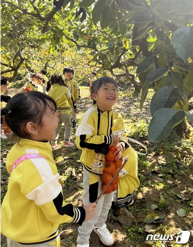 광양중마유치원(원장 박정아)- 원아들이 25일 백운산 마을학교에서 감을 따는 체험학습을 하며 해맑게 웃고 있다.(전남교육청 제공)/뉴스1