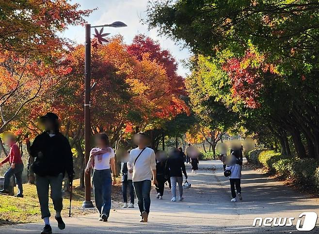 28일 충남 천안 독립기념관 단풍나무숲길에서 관람객들이 단풍을 감상하며 산책하고 있다. 2023.10.28 /뉴스1ⓒNews1 이시우 기자