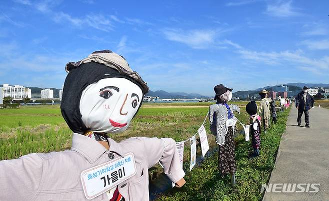 [대구=뉴시스] 이무열 기자 = 18일 대구 북구 학정동 들녘에 '논두렁밭두렁 마을축제'을 위해 주민들이 만든 허수아비가 정겨운 가을풍경을 연출하고 있다. 2023.10.18. lmy@newsis.com