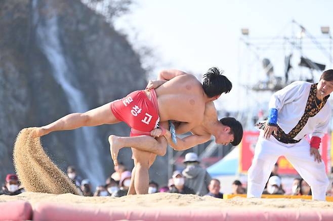 '제1회 황금사과배 전국 고교장사 씨름대회' 모습 (사진=청송군 제공) *재판매 및 DB 금지