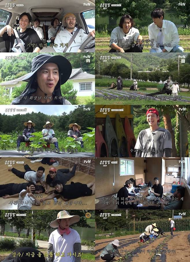 사진 출처: tvN <콩 심은 데 콩 나고 팥 심은 데 팥 난다> 영상 캡처
