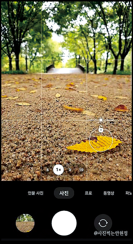 스마트폰 카메라를 바닥으로 가져가 낙엽에 초점을 맞춰 찍으면 깊이감이 살아난다. ‘사진찍는 안현정…스냅’ 블로그