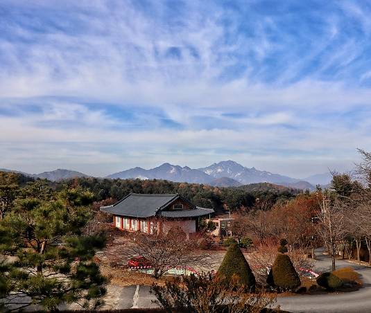 온라인 커뮤니티