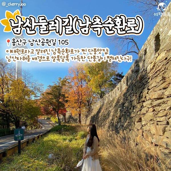 2023 서울 단풍 명소 / ⓒ여행톡톡