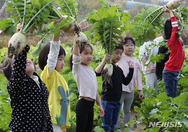 [서울=뉴시스] 고승민 기자 = 31일 서울 꽃초롱 자연학습장에서 서초구청 주관으로 열린 '꼬마농부와 함께하는 가을작물 수확체험' 행사에서 관내 어린이집 원생들이 무를 뽑아 포즈를 취하고 있다. 2023.10.31. kkssmm99@newsis.com