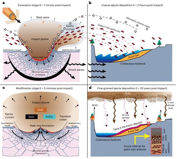 칙술루브 소행성 충돌과 충돌 파편·먼지 생성 및 퇴적 과정    멕시코 유카탄반도 칙술루브에 소행성이 충돌한 후 파편과 미세한 분출물이 생성되는 모습(a : 충돌 1분 이내, c : 충돌 5분 이후)과 파편 및 미세먼지가 미국 노스다코타주 타니스 지층에 떨어져 쌓이는 모습(b:충돌 2시간 이내, d:충돌 20년 이내) [Cem Berk Senel et al./Nature Geoscience 제공.재판매 및 DB 금지]