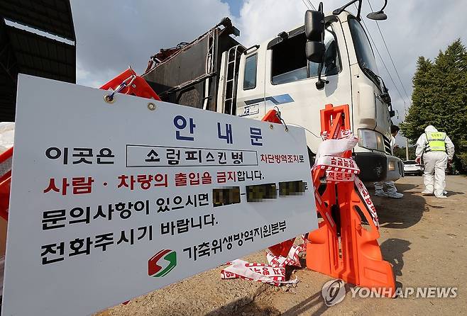 축산농가 비상 [연합뉴스 자료사진]