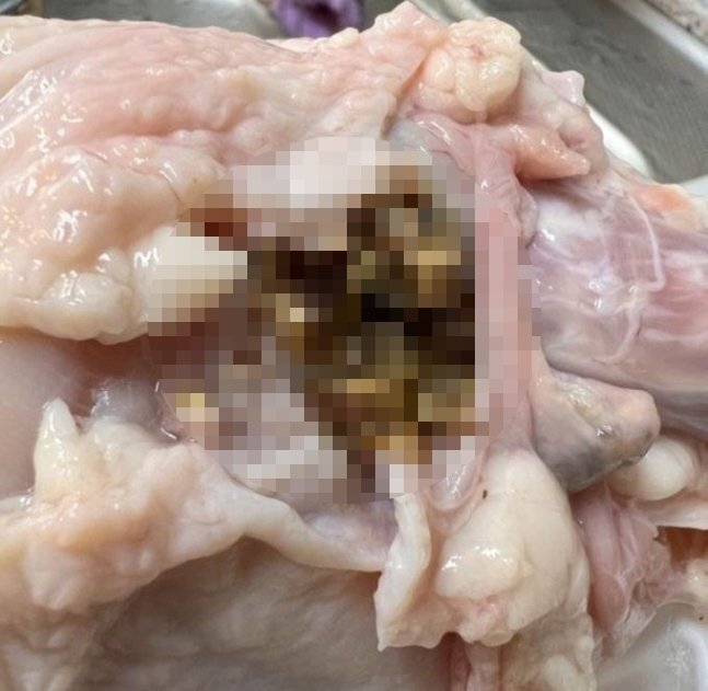 ‘하림 동물복지 생닭’ 제품에서 딱정벌레의 일종인 거저릿과 유충이 다량 발견된 모습. 온라인 커뮤니티