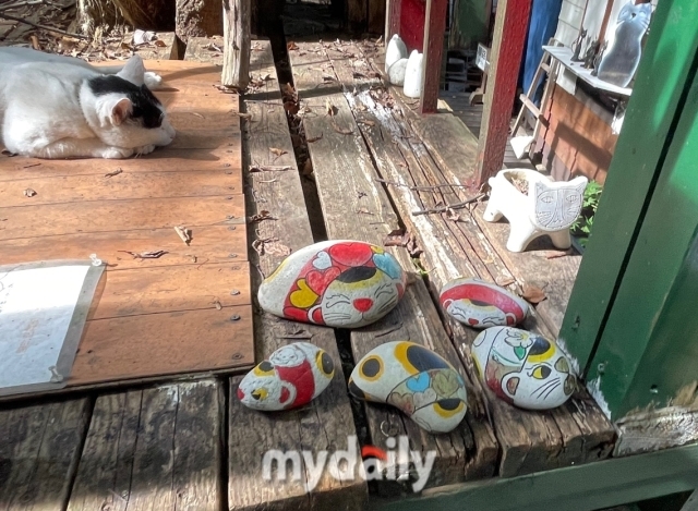 오노미치 '고양이 오솔길'/이지혜 기자