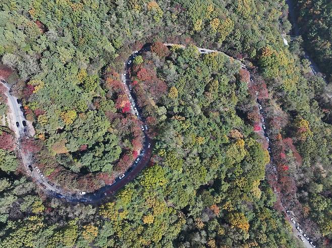 단풍이 퍼져나가고 있는 대구 동구 팔공산 인근 도로 [연합]