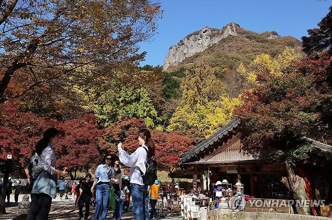 내장산국립공원 백양사에서 가을정취 만끽 (장성=연합뉴스) 조남수 기자 = 2일 전남 장성군 내장산국립공원 백양사를 찾은 시민들이 가을을 만끽하고 있다. 백양사의 단풍은 어린아이의 손처럼 작아 아기단풍이라 불린다. 2023.11.2     iso64@yna.co.kr