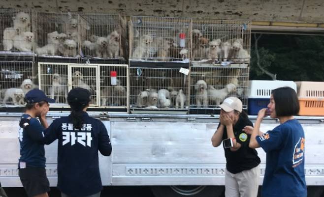 번식장의 개들을 구조한 후 단체 회원들이 기뻐하고 있다. (사진=카라)