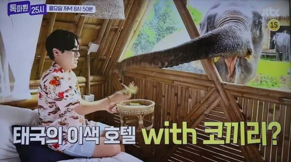 온라인 커뮤니티