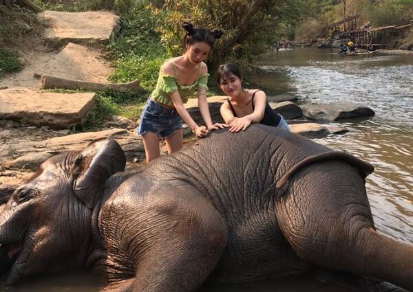 온라인 커뮤니티