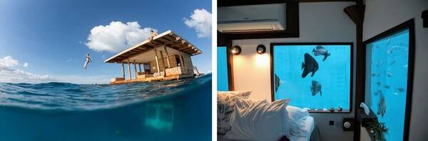 온라인 커뮤니티