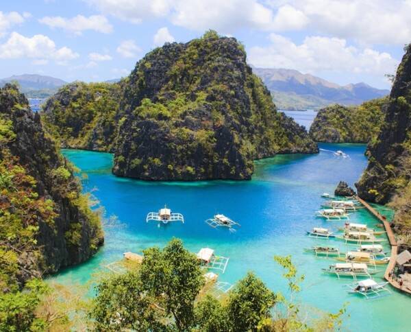 온라인 커뮤니티