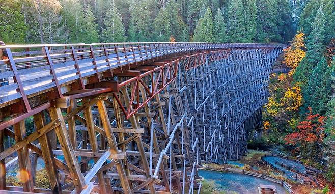 캐나다 밴쿠버섬에 있는 목조 다리 킨솔 트레슬(Kinsol Trestle)