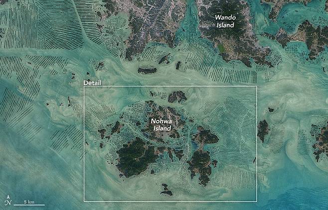 미국 항공우주국이 2021년 4월 ‘지구 전망대’ 누리집에 올린 전남 완도지역 해조류 양식장 위성사진.지구 전망대 누리집 갈무리