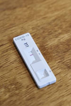 게티이미지뱅크