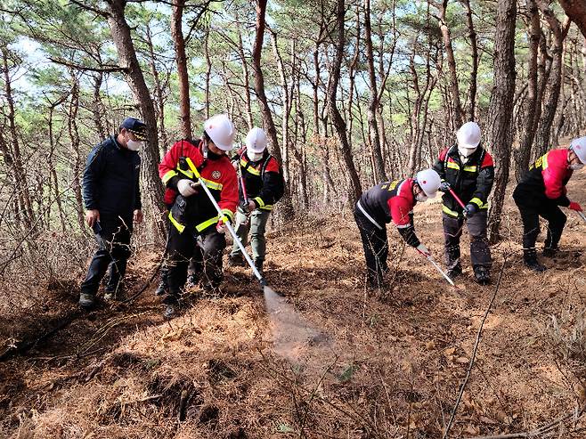 산불전문예방진화대가 진화훈련을 실시하고 있다. 경주시 제공