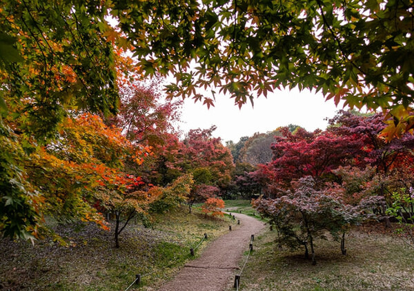 온라인 커뮤니티